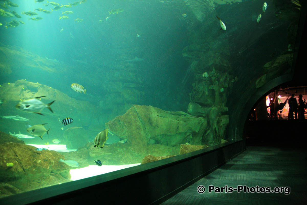 Aquarium Trocadero